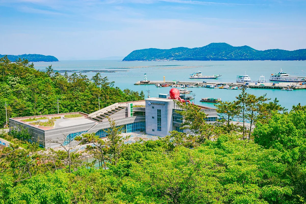 %ED%95%B4%EC%96%91%EC%9E%90%EC%97%B0%EC%82%AC%EB%B0%95%EB%AC%BC%EA%B4%80%283%29.jpg?type=w1200