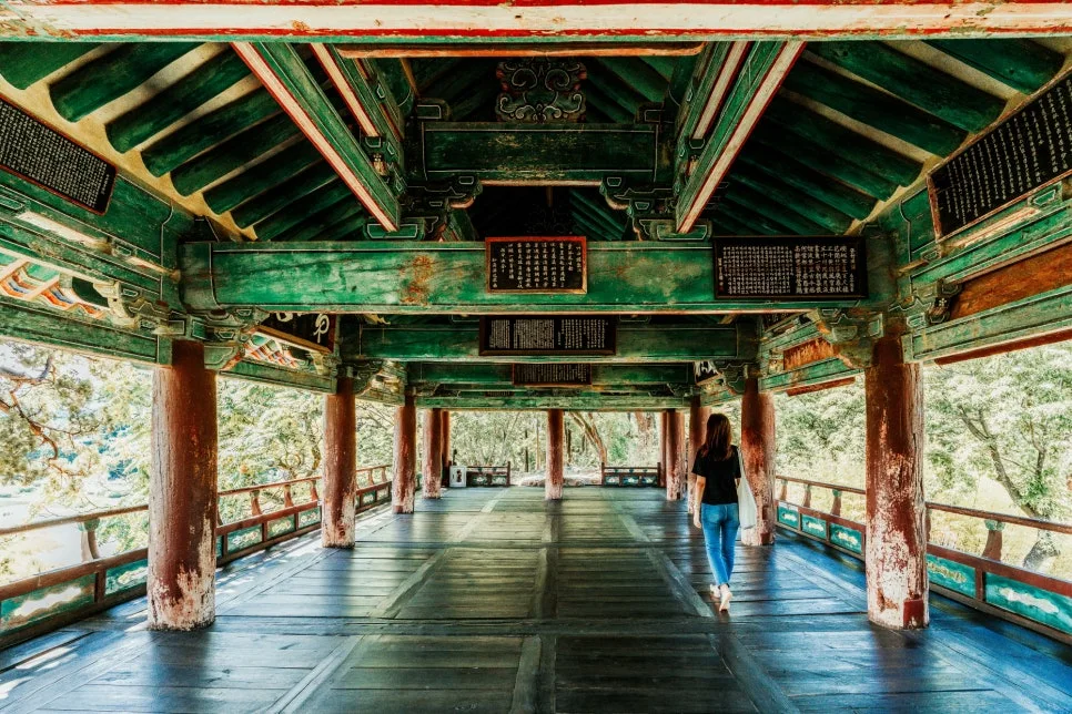 %EC%82%BC%EC%B2%99_%EC%A3%BD%EC%84%9C%EB%A3%A8_(7).jpg?type=w966