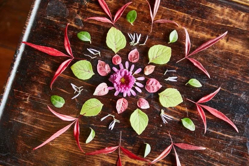 d2742a7e-1cd7-4a89-b7ed-847644c7c4b2.jpg?type=w1200