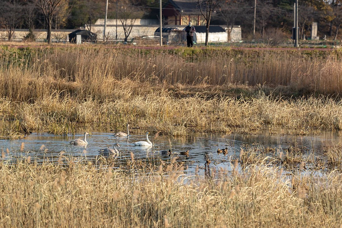 %EA%B2%BD%ED%8F%AC%EC%83%9D%ED%83%9C%EC%A0%80%EB%A5%98%EC%A7%80_%EC%B2%A0%EC%83%88_%281%29.jpg?type=w1200