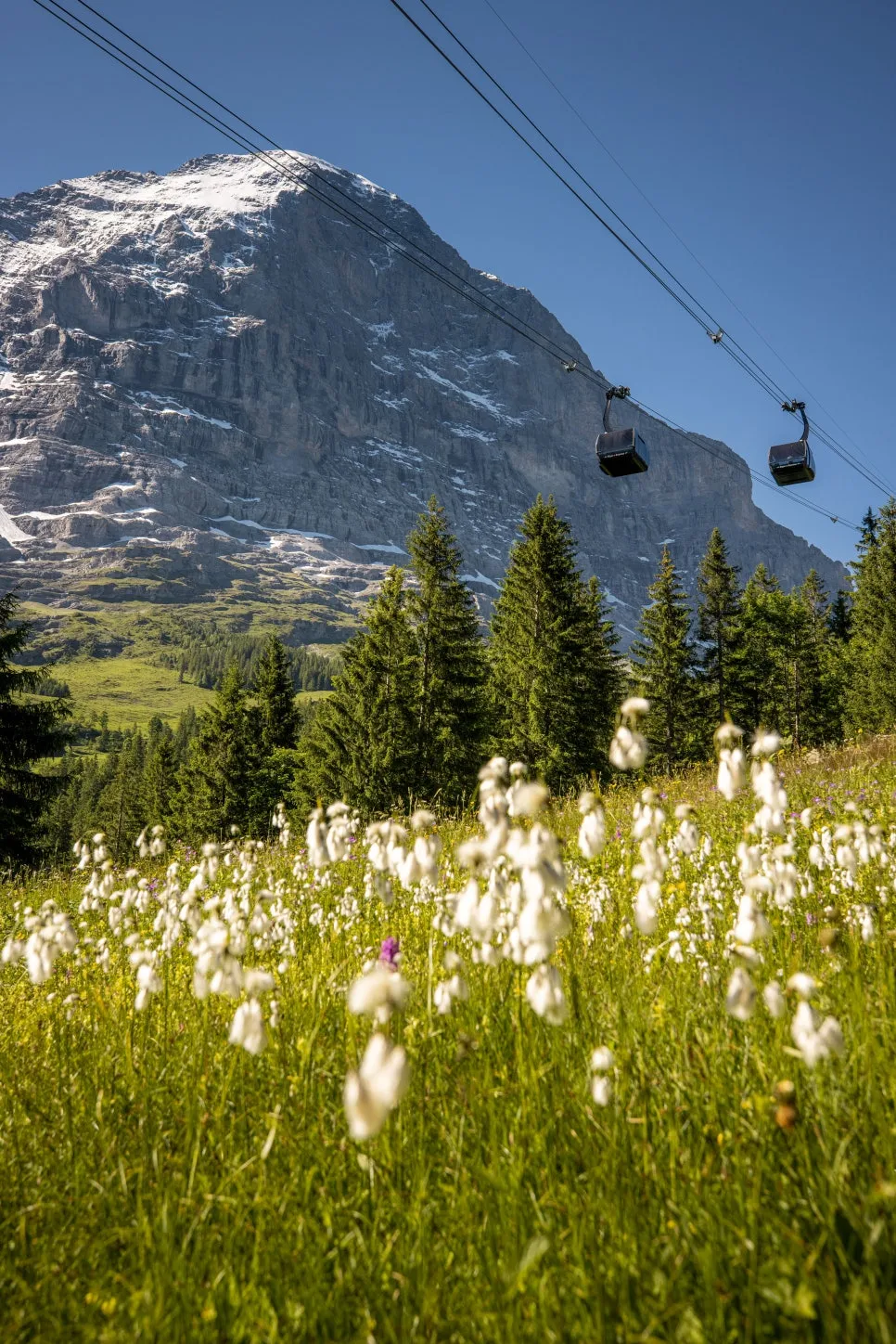 1p_%EB%8F%84%EB%B9%84%EB%9D%BC_%EA%B5%90%EC%B2%B4.jpg?type=w966