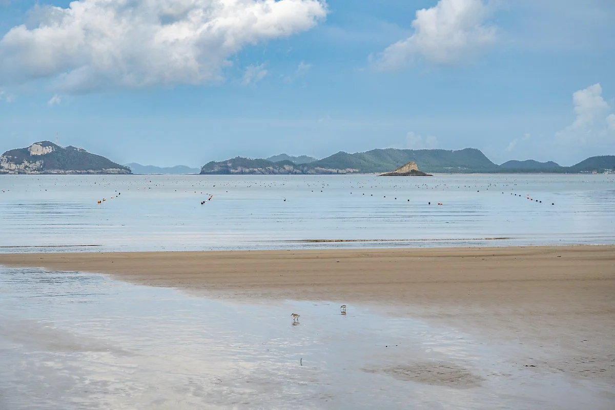 %EC%8B%9C%EC%95%84%EC%8B%9C%ED%95%B4%EB%B3%80_%283%29.jpg?type=w1200