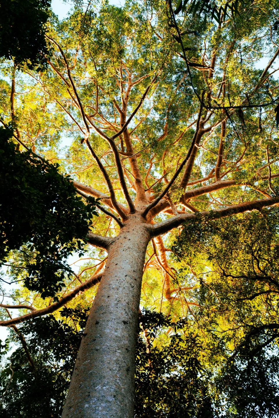 %EC%8A%A4%EC%B9%B4%EC%9D%B4%EB%A0%88%EC%9D%BC_(5).jpg?type=w966