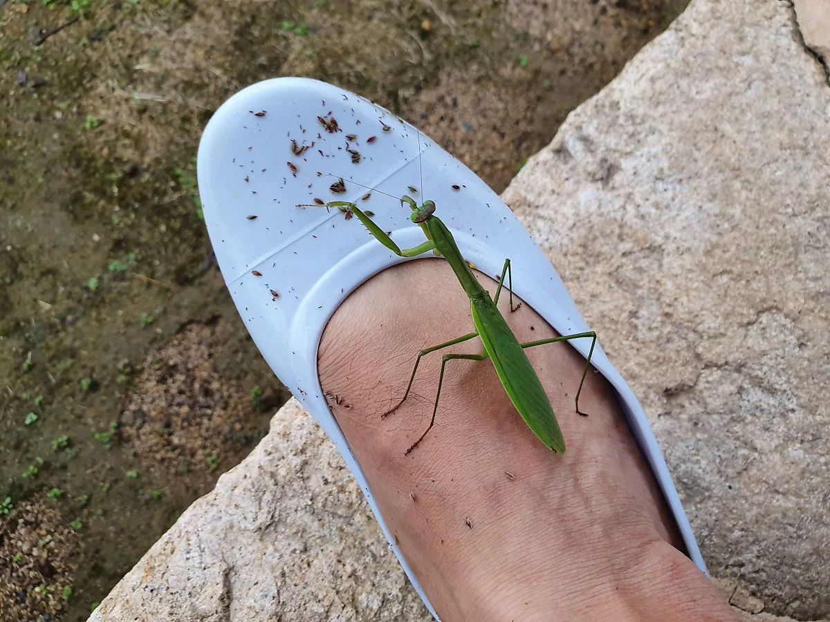 20190928_073659.jpg?type=w1200