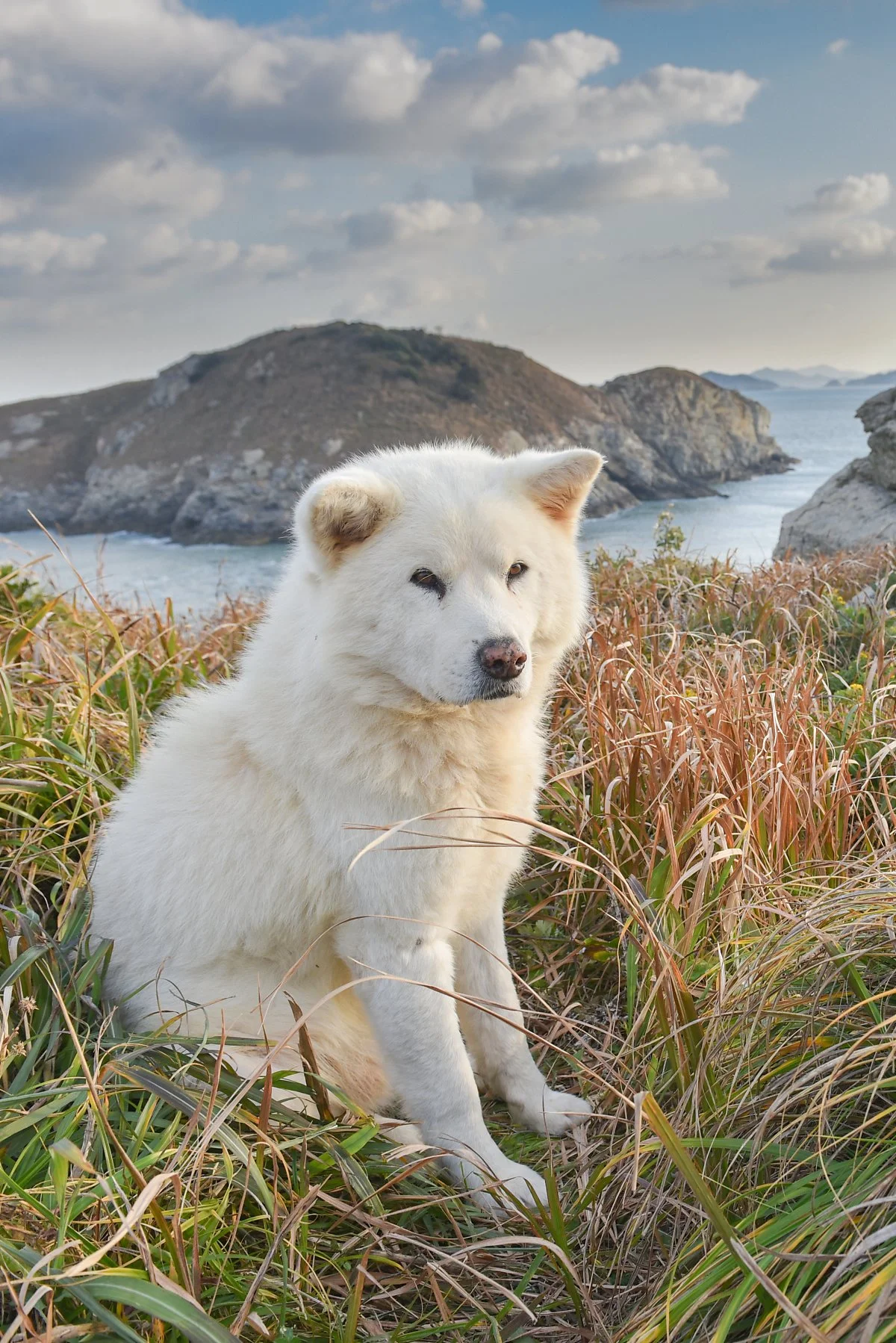 %EB%A7%B9%EA%B3%A8%EB%8F%84_%2815%29.JPG?type=w1200