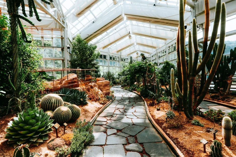 %ED%81%AC%EA%B8%B0%EB%B3%80%ED%99%98DSC06789.jpg?type=w966