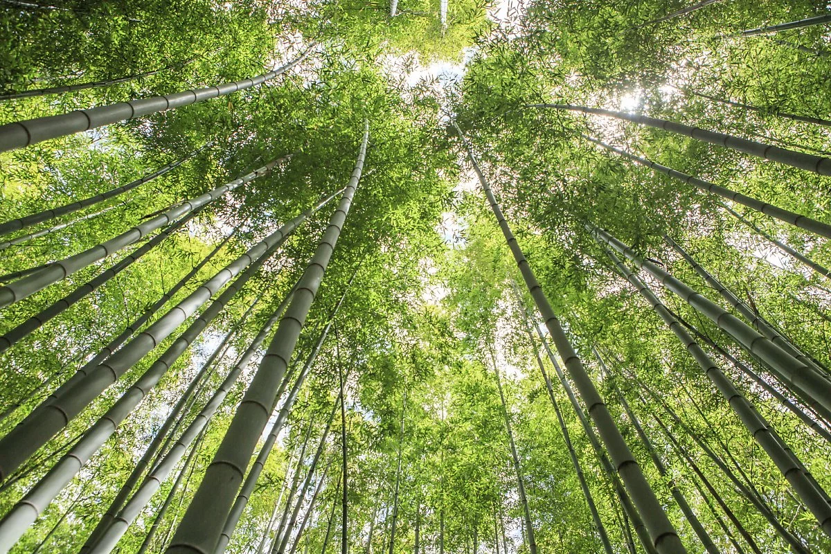 %EC%95%84%ED%99%89%EC%82%B0%EC%88%B2_%284%29.JPG?type=w1200