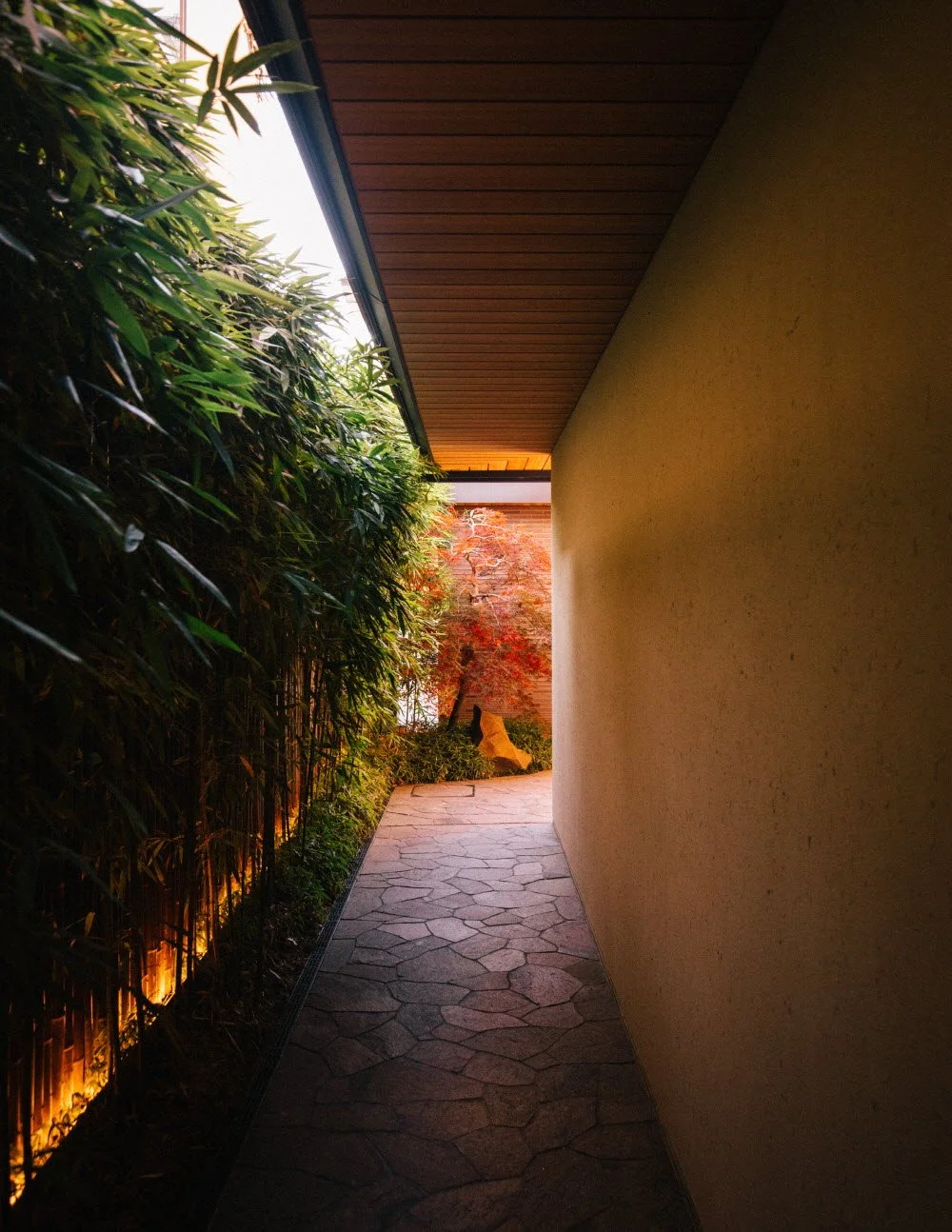 KHS_5699.jpg?type=w1200