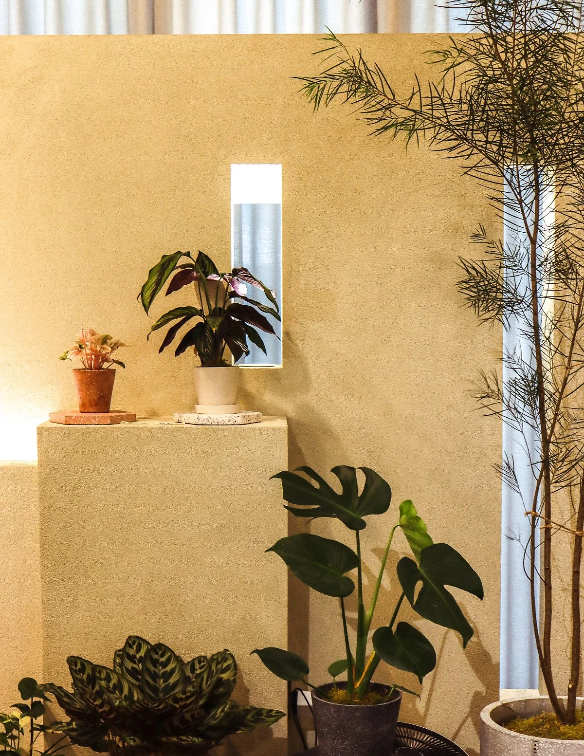 d_%ED%8B%B8%ED%85%8C%EC%9D%B4%EB%B8%94_4.jpg?type=w1200