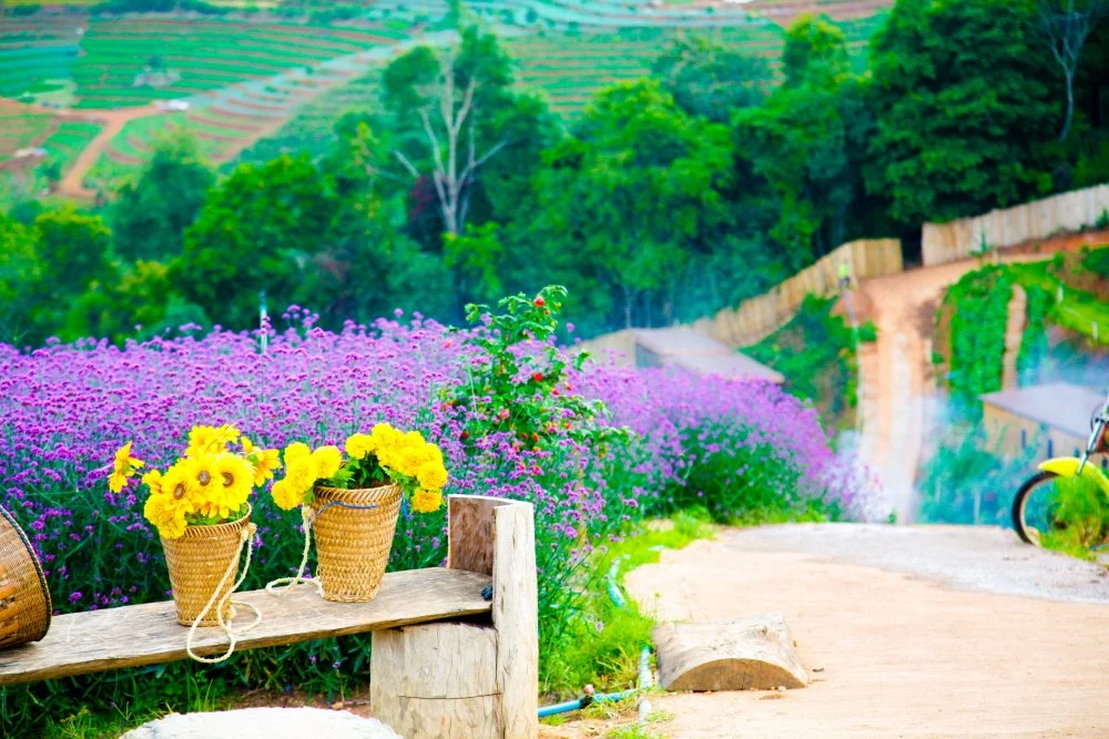 %EB%AA%AC%EC%A8%88.jpg?type=w1200