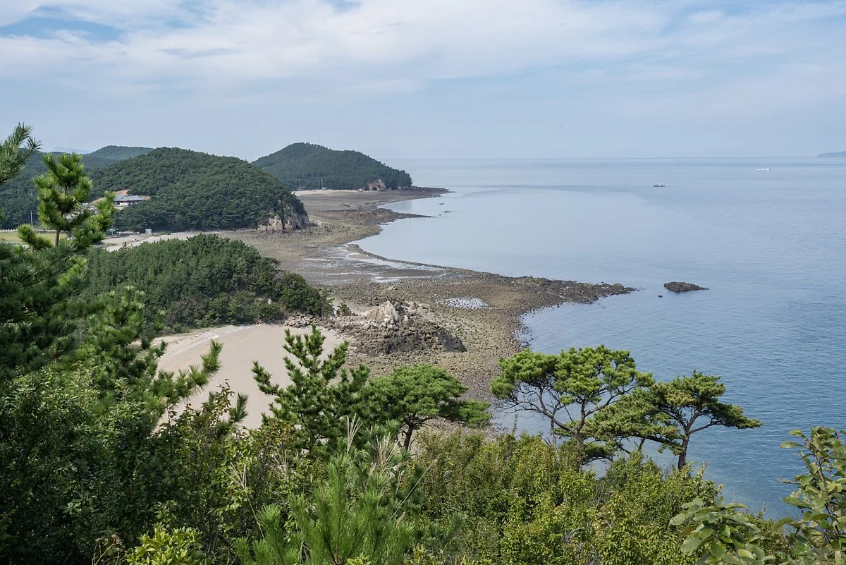 %EC%8B%A0%ED%99%A9%EC%A0%95%EC%97%90%EC%84%9C_%EB%B0%94%EB%9D%BC%EB%B3%B8_%EB%B6%81%EC%AA%BD%ED%95%B4%EC%95%88_%281%29.jpg?type=w1200