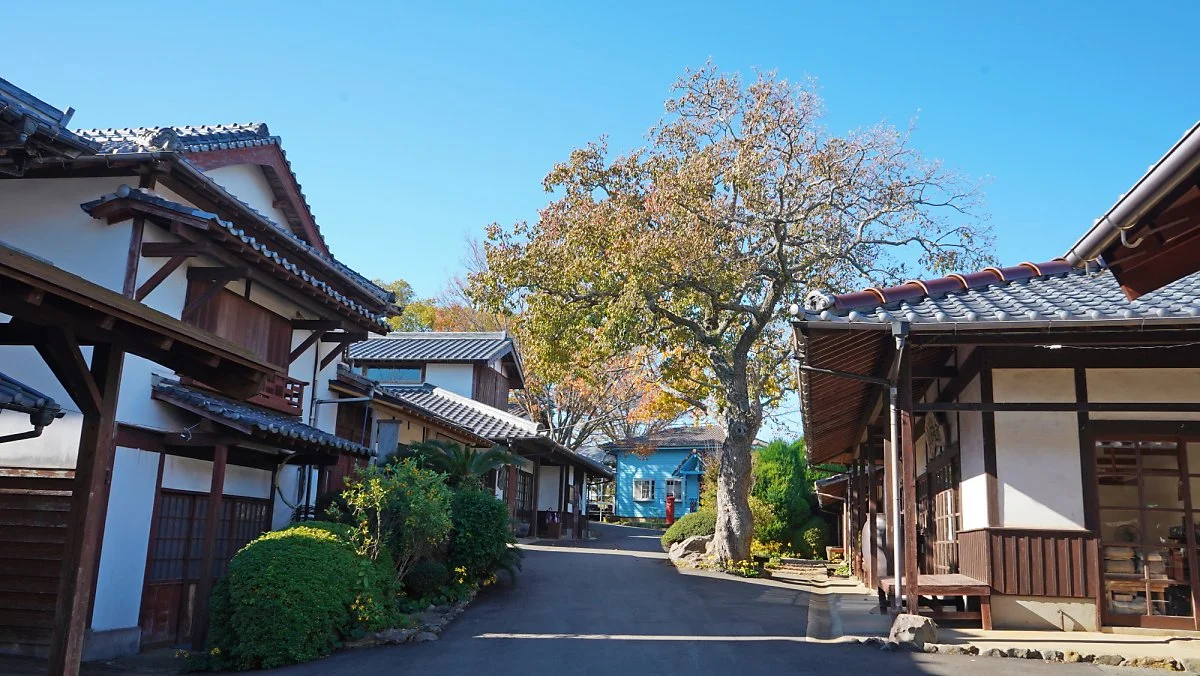 DSC04669-1.jpg?type=w1200