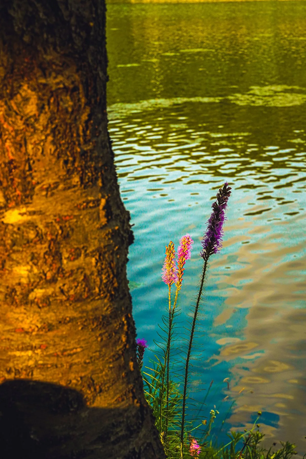 %EC%9C%A8%EB%8F%99%EA%B3%B5%EC%9B%90_%EB%B6%84%EC%88%98%EB%8C%80_%281%29.jpg?type=w1200