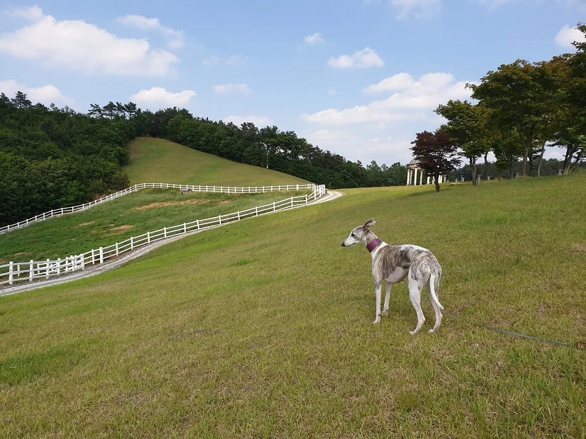 1559291230683.jpg?type=w1200