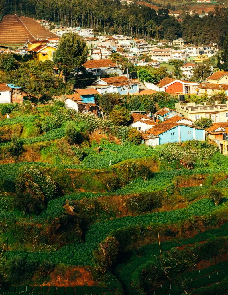 %ED%81%AC%EA%B8%B0%EB%B3%80%ED%99%98Ooty-1.jpg?type=w1200