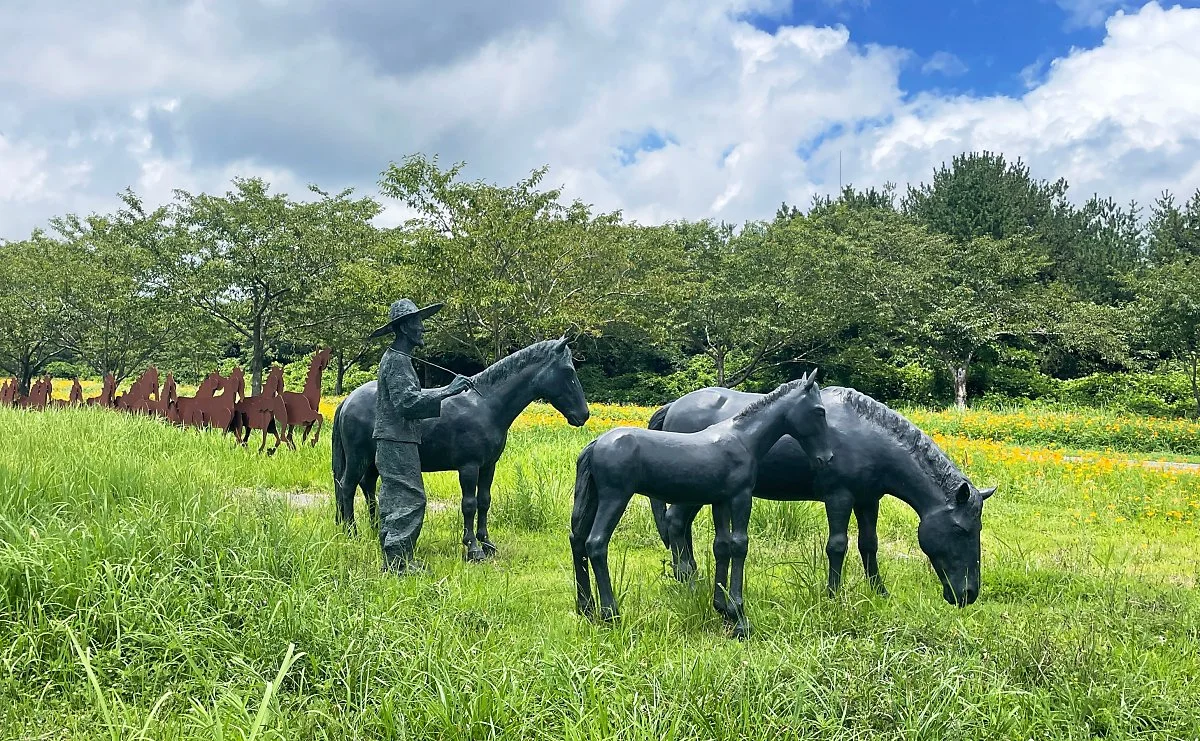 %EA%B0%80%EC%8B%9C%EB%A6%AC_%EC%BD%94%EC%8A%A4%EB%AA%A8%EC%8A%A4%EB%8B%A8%EC%A7%80_%285%29.JPG?type=w1200