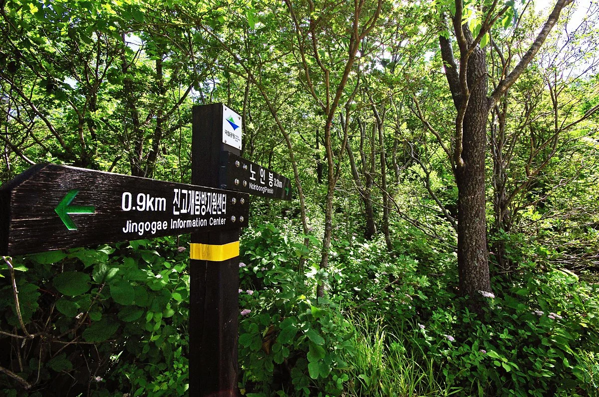 %EB%85%B8%EC%9D%B8%EB%B4%89%EC%9D%84_%EA%B0%80%EB%A6%AC%ED%82%A4%EB%8A%94_%EC%9D%B4%EC%A0%95%ED%91%9C.JPG?type=w1200