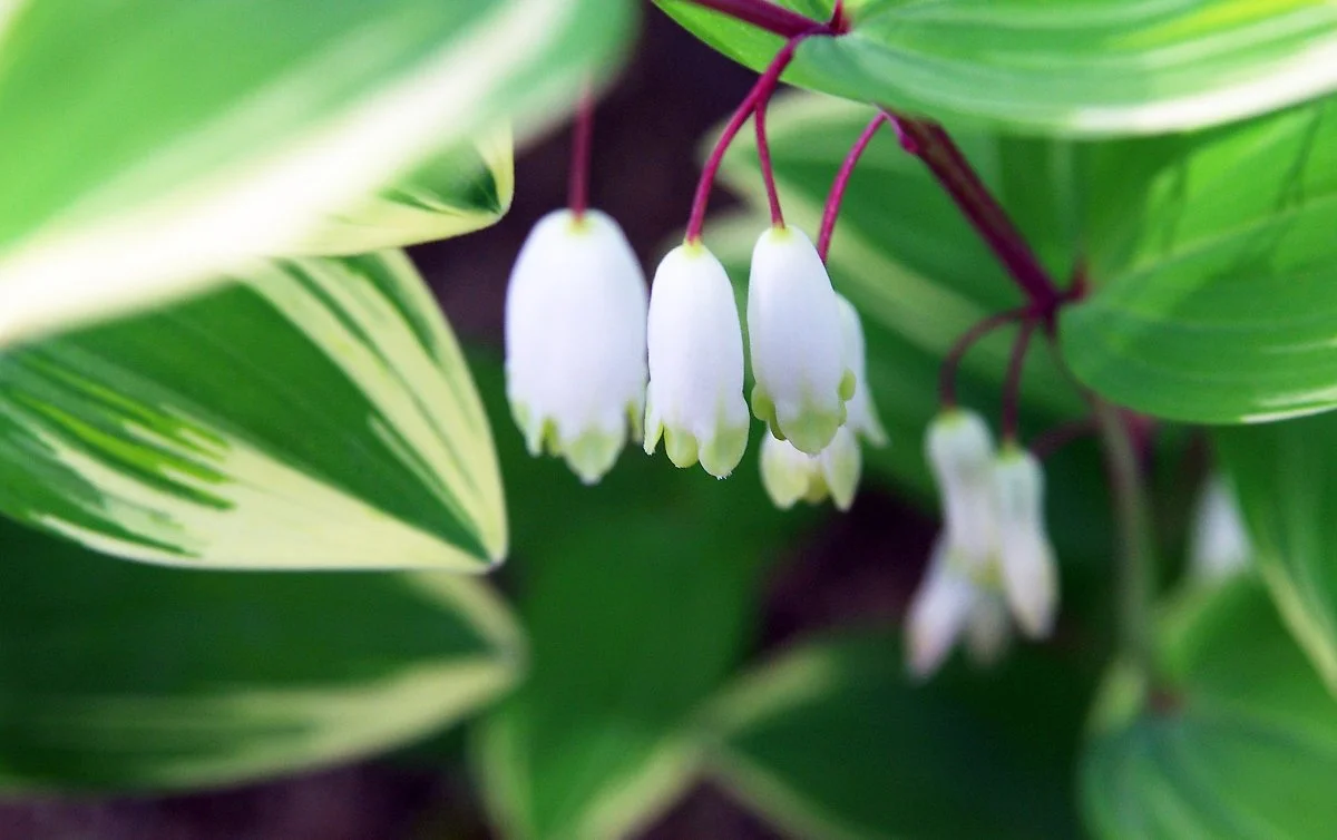 %EC%B2%AD%EC%A3%BC%EB%9E%9C%EB%93%9C_%EB%82%98%EB%B9%84%EC%83%9D%ED%83%9C%EA%B4%80_%EB%91%A5%EA%B8%80%EB%A0%88%EA%BD%83.JPG?type=w1200