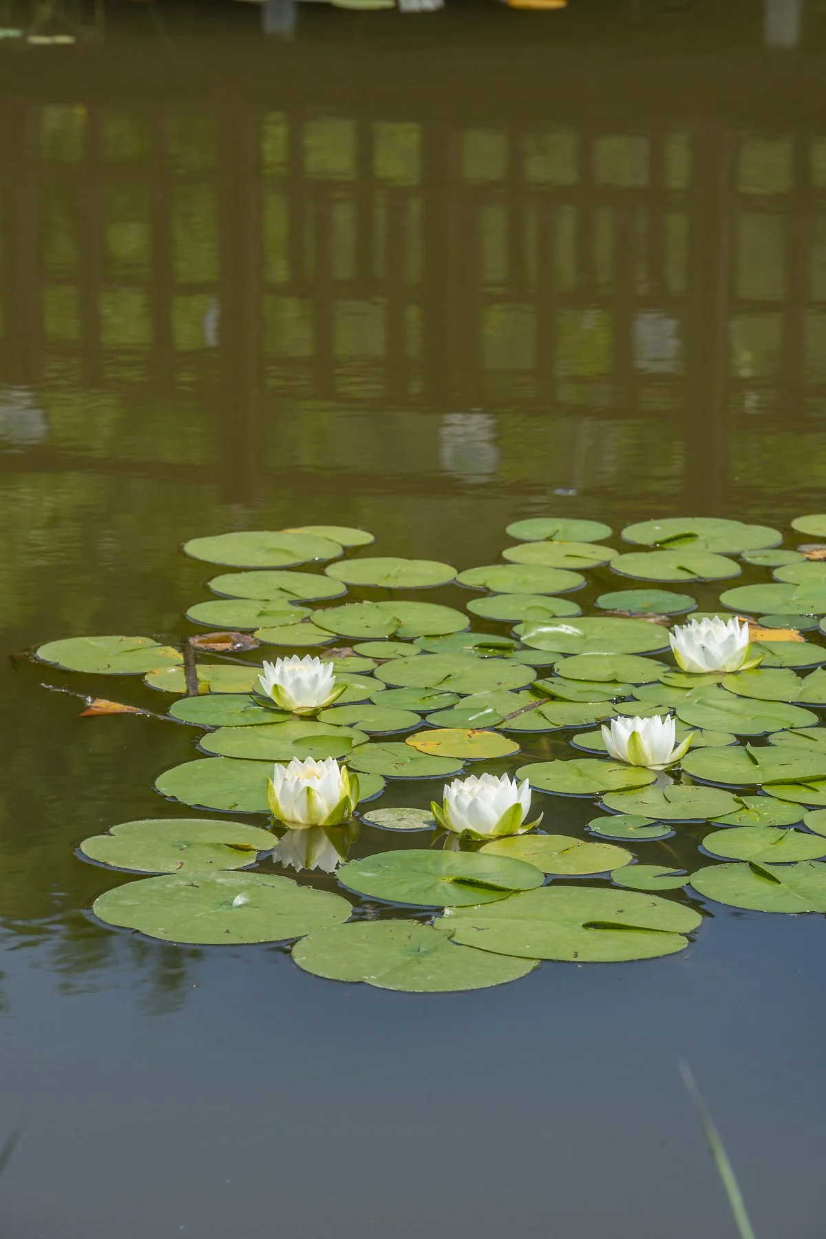 %EC%9A%B4%EA%B3%A1%EB%9E%8C%EC%82%AC%EB%A5%B4%EC%8A%B5%EC%A7%80%EC%83%9D%ED%83%9C%EA%B3%B5%EC%9B%90_%2813%29-1.jpg?type=w1200