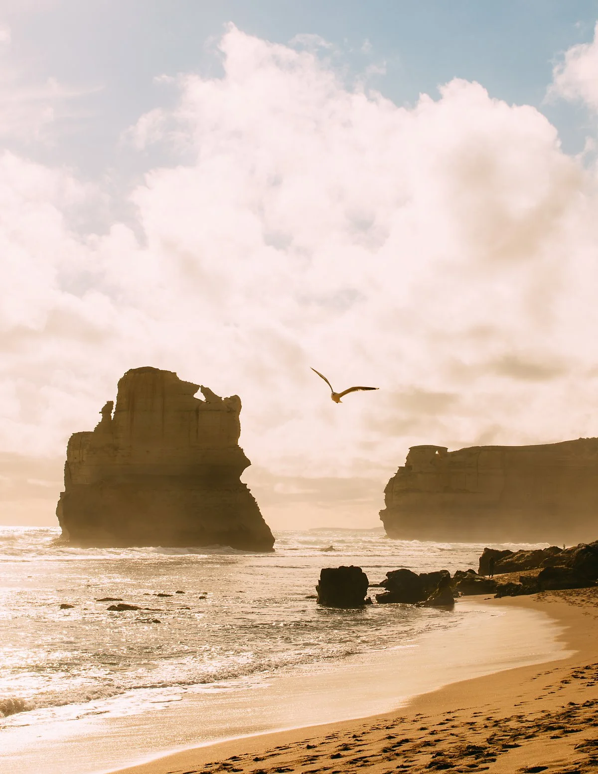 %EB%A9%9C%EB%B2%88_-3.JPG?type=w1200