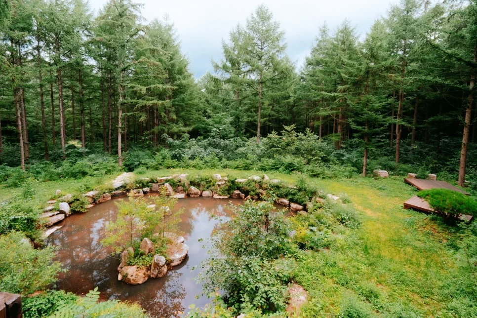 %ED%81%AC%EA%B8%B0%EB%B3%80%ED%99%98%EA%B5%AD%EB%A6%BD%EA%B9%80%EC%B2%9C%EC%B9%98%EC%9C%A0%EC%9D%98%EC%88%B2_(11).jpg?type=w966