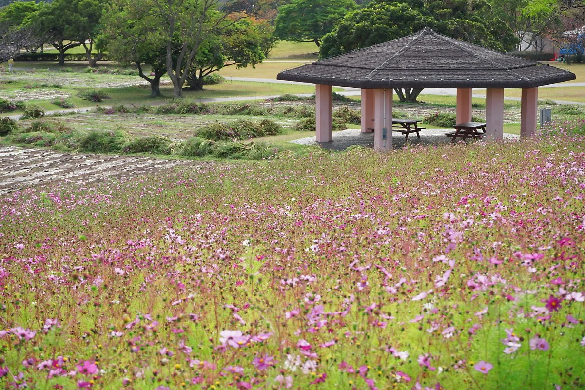 DSC04412-1.jpg?type=w1200