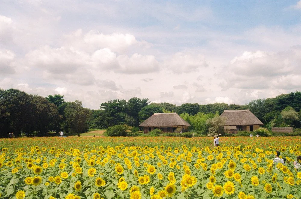 %EC%A7%80%EC%98%88%EC%A7%80-5.jpg?type=w1200