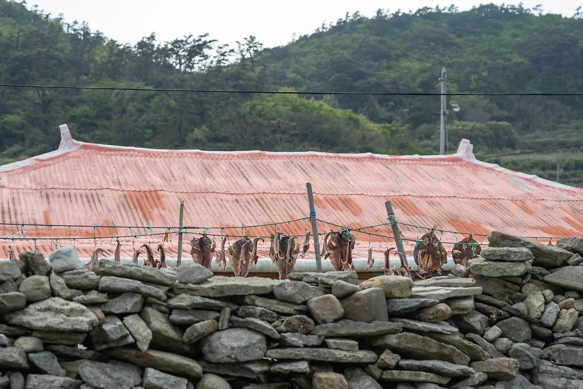 %EA%B4%80%ED%98%B8%EB%A7%88%EC%9D%84_%283%29.jpg?type=w1200