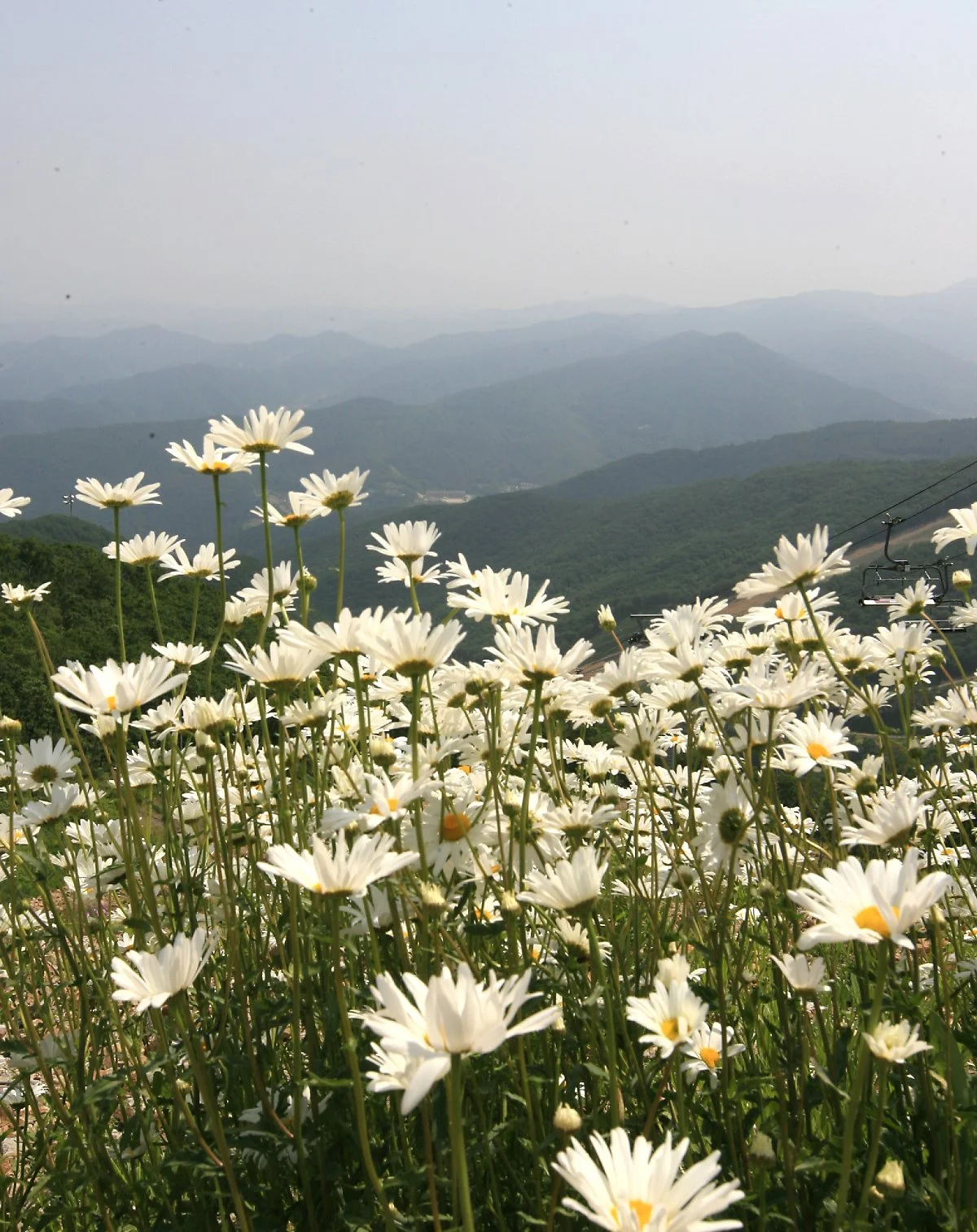 image_4340772221690182952604.jpg?type=w1200