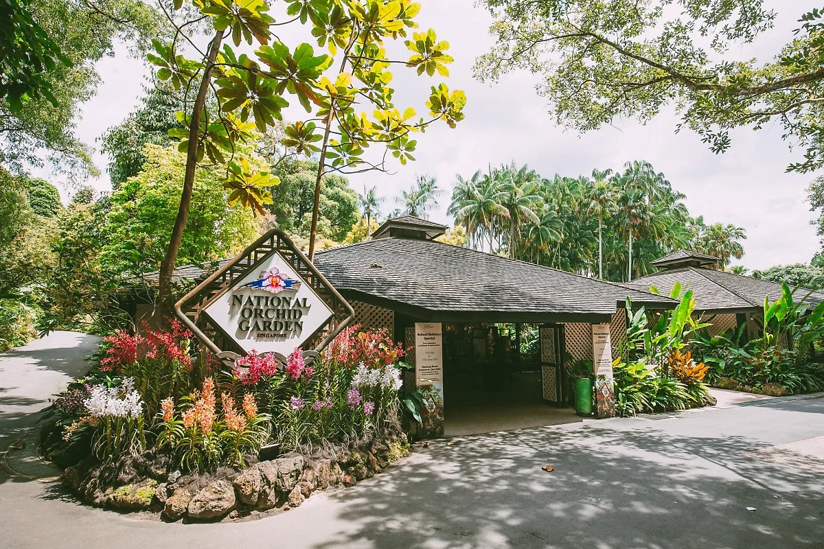 %EB%82%B4%EC%85%94%EB%84%90_%EC%98%A4%ED%82%A4%EB%93%9C_%EA%B0%80%EB%93%A0.jpg?type=w1200