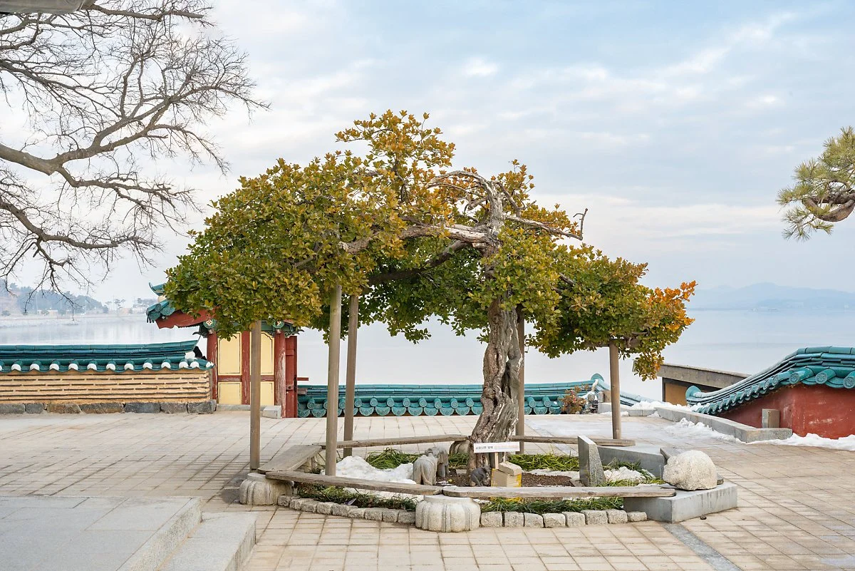 %EA%B0%84%EC%9B%94%EC%95%94_%284%29.jpg?type=w1200