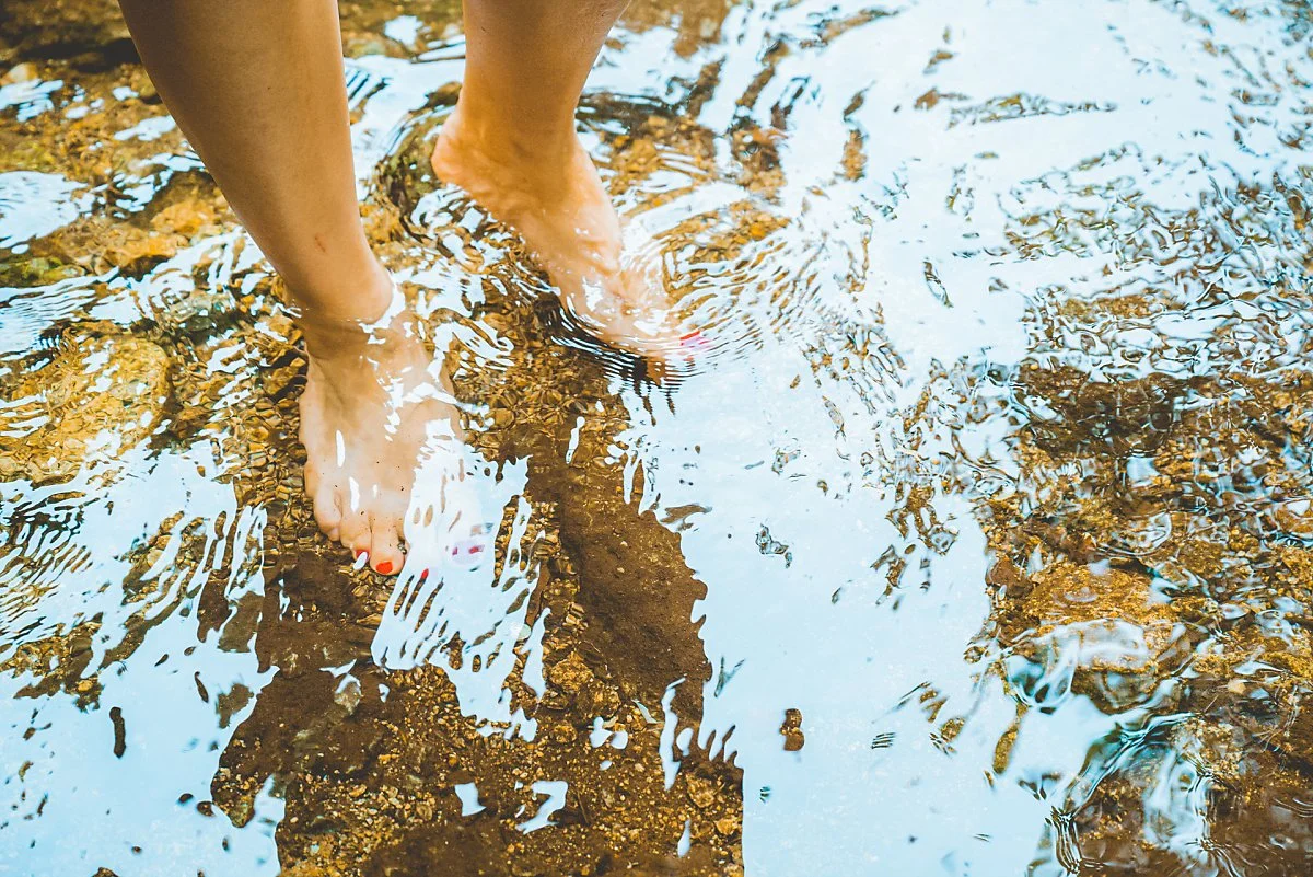 5p_%281%29.jpg?type=w1200