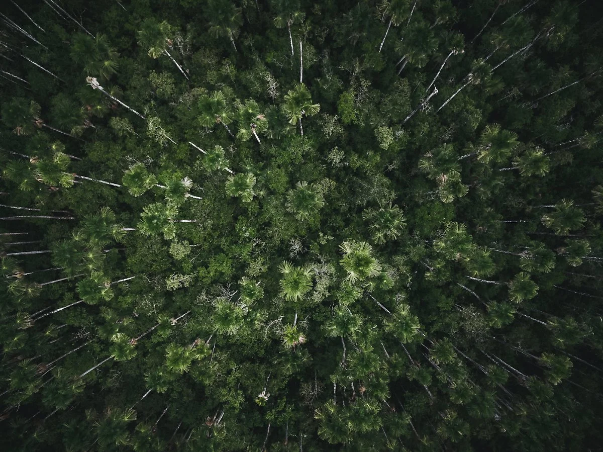 DJI_0042.jpg?type=w1200