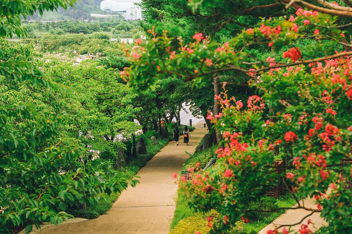 %EA%B2%BD%ED%8F%AC%EB%8C%80_%282%29.jpg?type=w1200