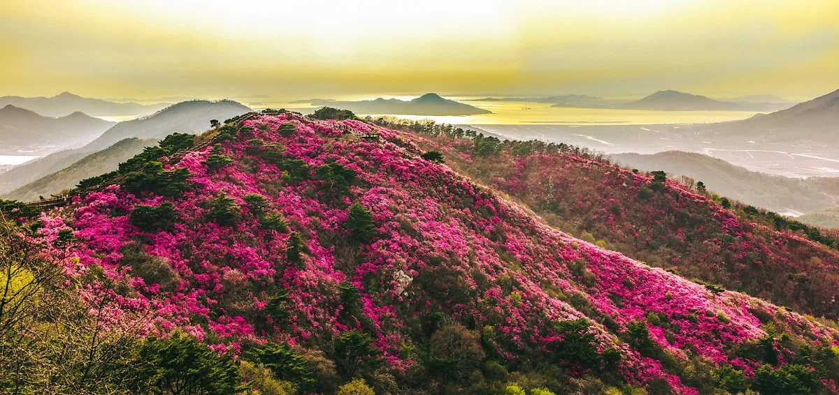 5p_1%EB%B2%88_%EC%82%AC%EC%A7%84.jpg?type=w1200