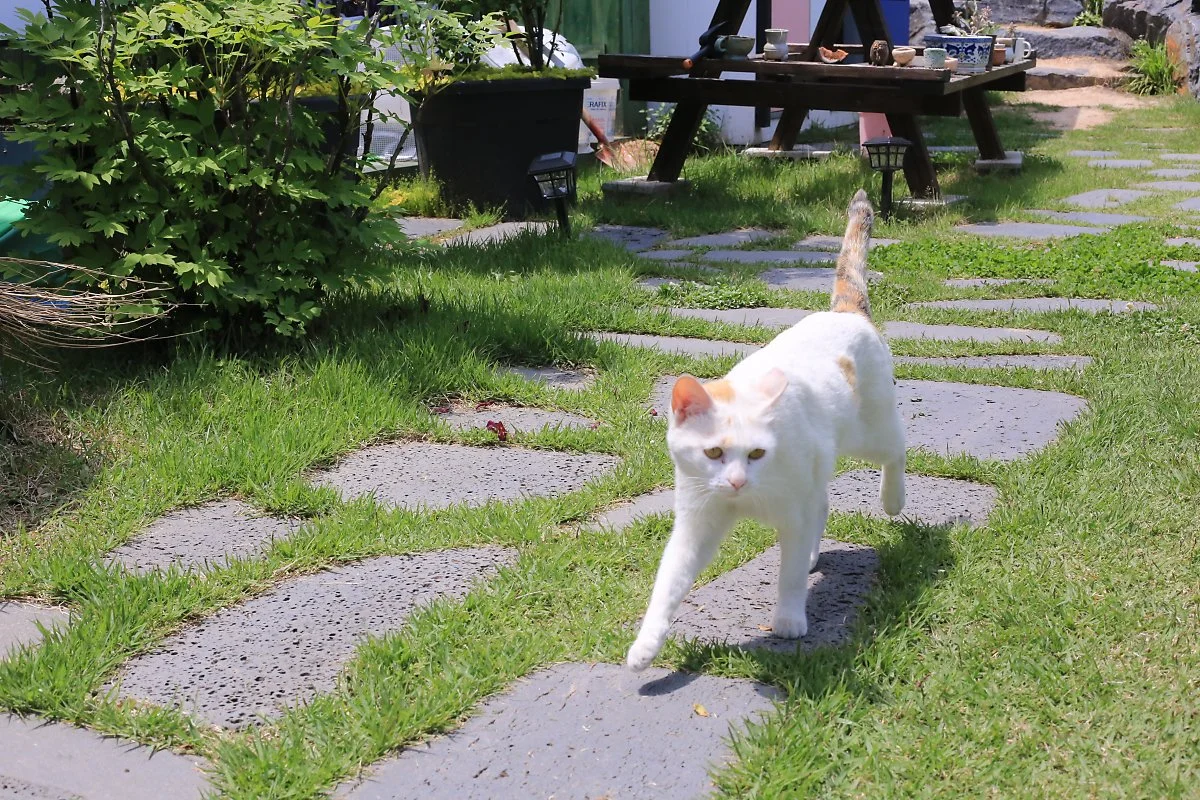 IMG_0028.JPG?type=w1200