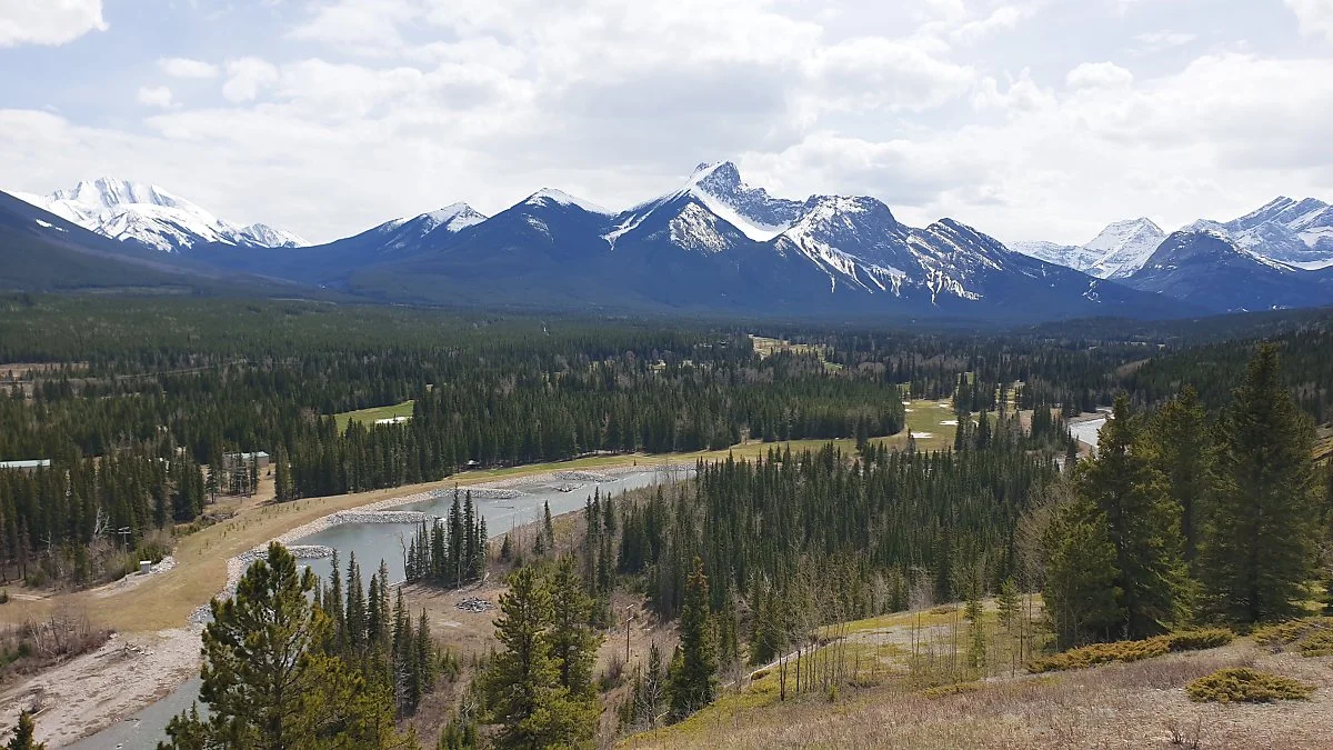 %EC%B9%B4%EB%82%98%EB%82%98%EC%8A%A4%ED%82%A4%EC%8A%A4_%EB%B9%8C%EB%A6%AC%EC%A7%80_1.jpg?type=w1200