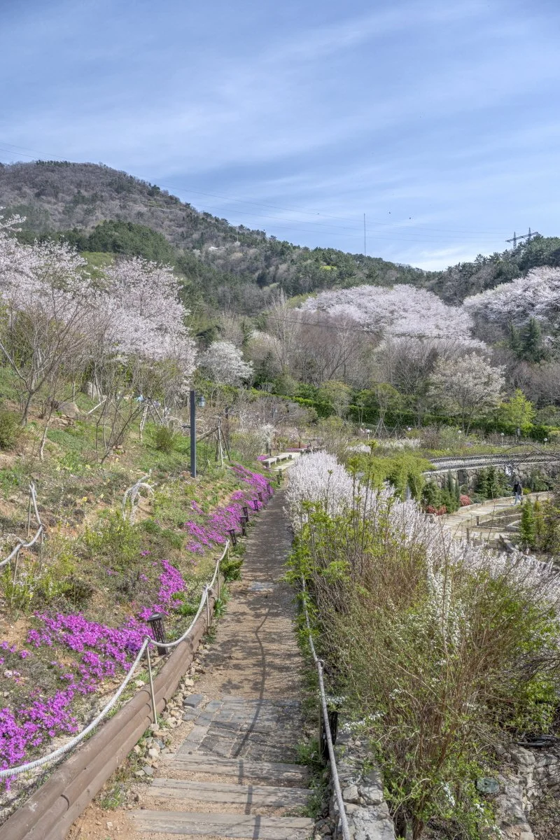 %ED%81%AC%EA%B8%B0%EB%B3%80%ED%99%98%EC%A7%84%ED%95%B4%EB%B3%B4%ED%83%80%EB%8B%89%EB%AE%A4%EC%A7%80%EC%97%84_%283%29.jpg?type=w1200