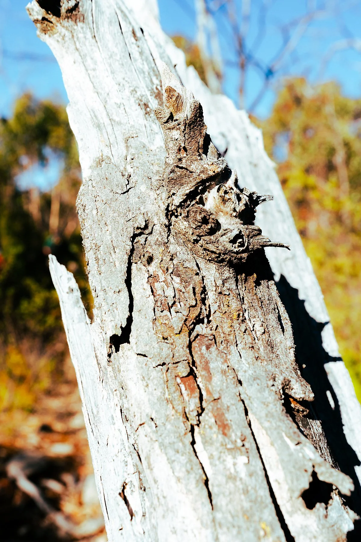 %EA%B7%B8%EB%9E%A8%ED%94%BC%EC%96%B8%EC%8A%A4_%ED%94%BC%ED%81%AC_%ED%8A%B8%EB%A0%88%EC%9D%BC_%287%29.jpg?type=w1200