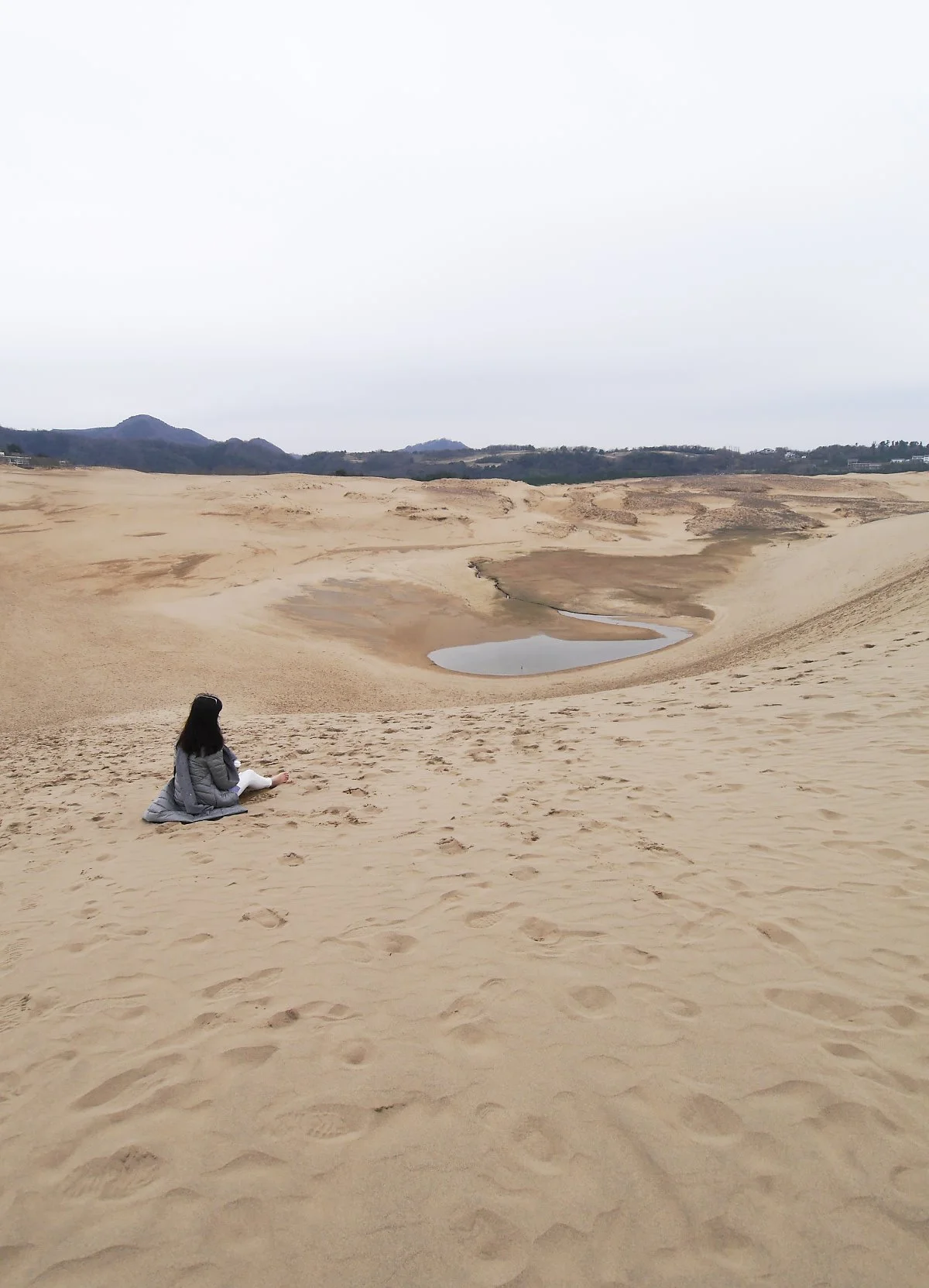 %EB%8F%97%ED%86%A0%EB%A6%AC_%EC%82%AC%EA%B5%AC_%287%29.jpg?type=w1200