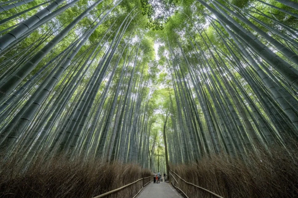 05_0829_104.jpg?type=w966