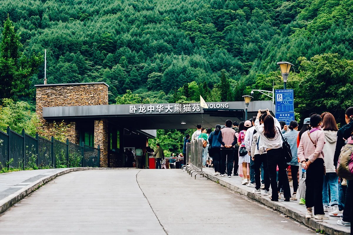 %EB%B3%B4%EC%A0%95%EB%B3%B8.jpg?type=w1200