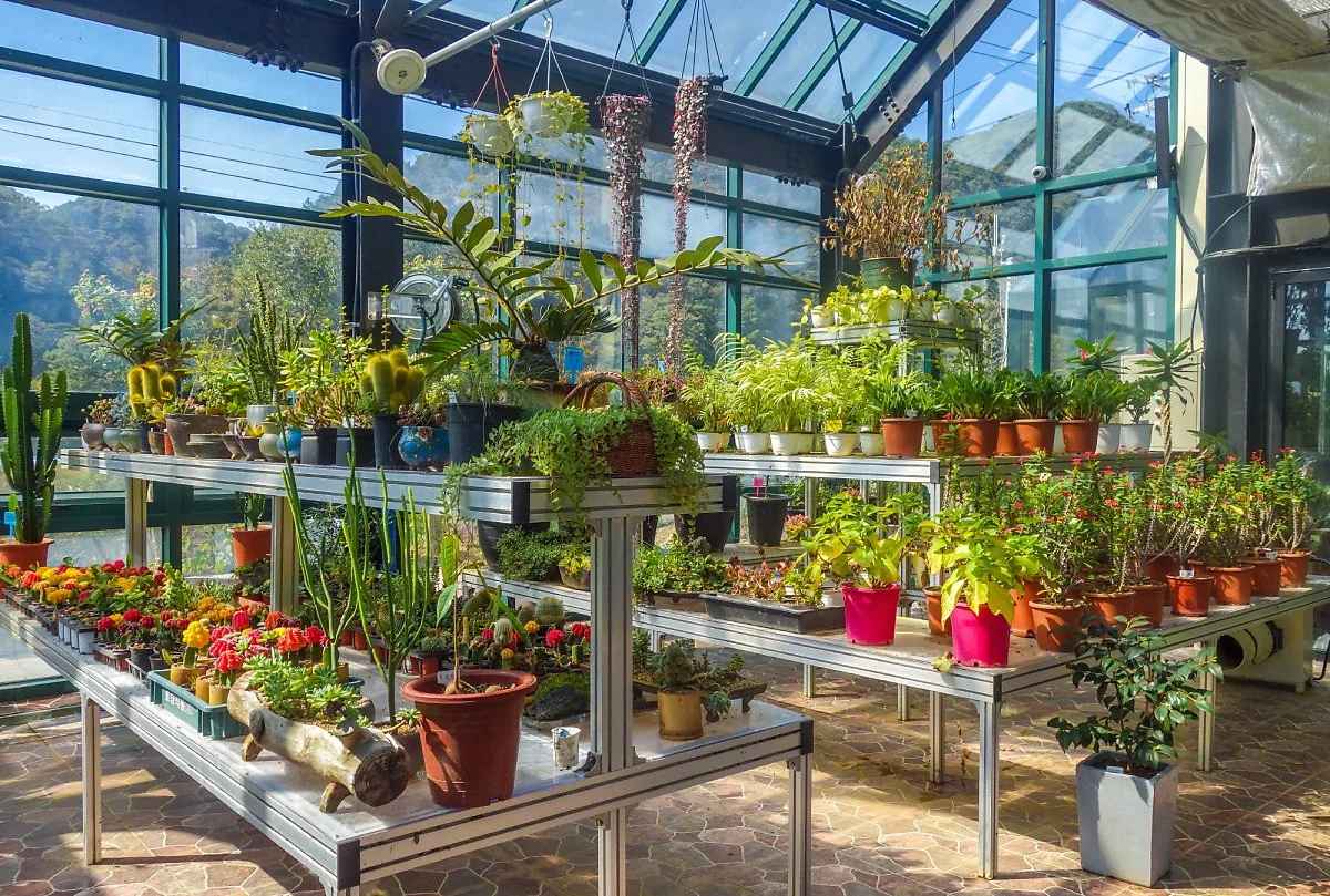 %EC%8B%B1%EA%B7%B8%EB%9E%AD%EC%9D%B4_%EC%97%90%EC%BD%94%EC%A0%95%EC%9B%907.jpg?type=w1200