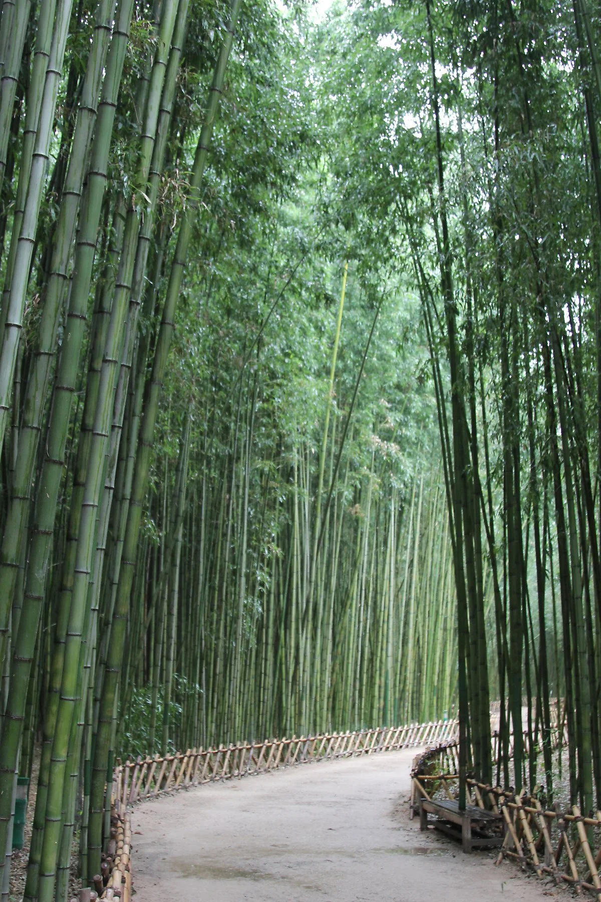 %EC%8B%AD%EB%A6%AC%EB%8C%80%EC%88%B2_%283%29.JPG?type=w1200