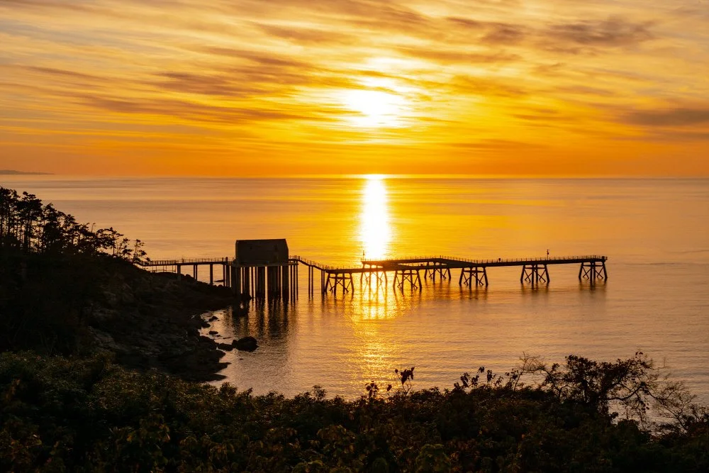 %EB%82%9A%EC%8B%9C%EC%9E%94%EA%B5%90_%EB%82%99%EC%A1%B0_%281%29.jpg?type=w1200