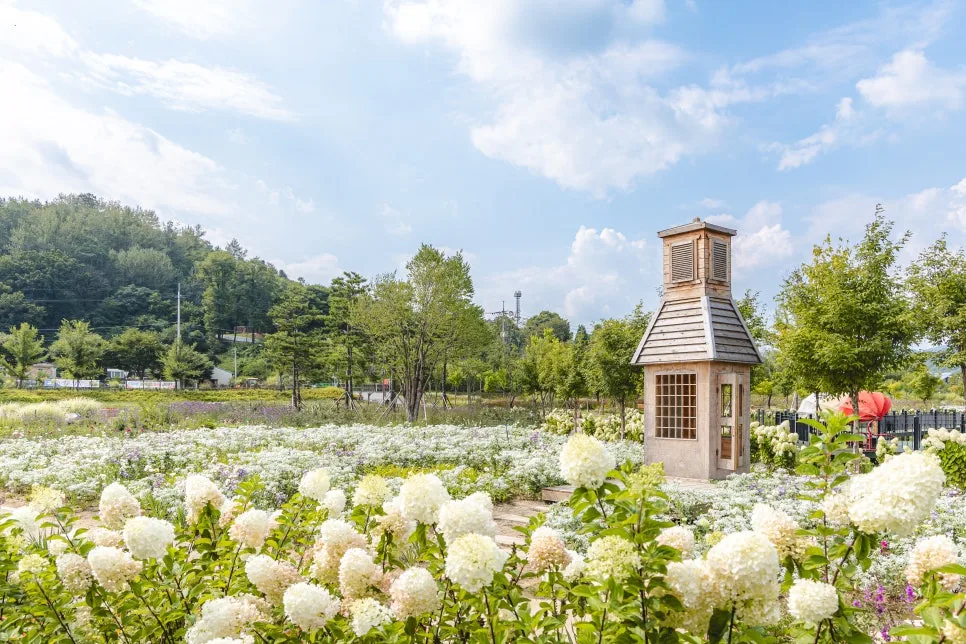 book_242.jpg?type=w966