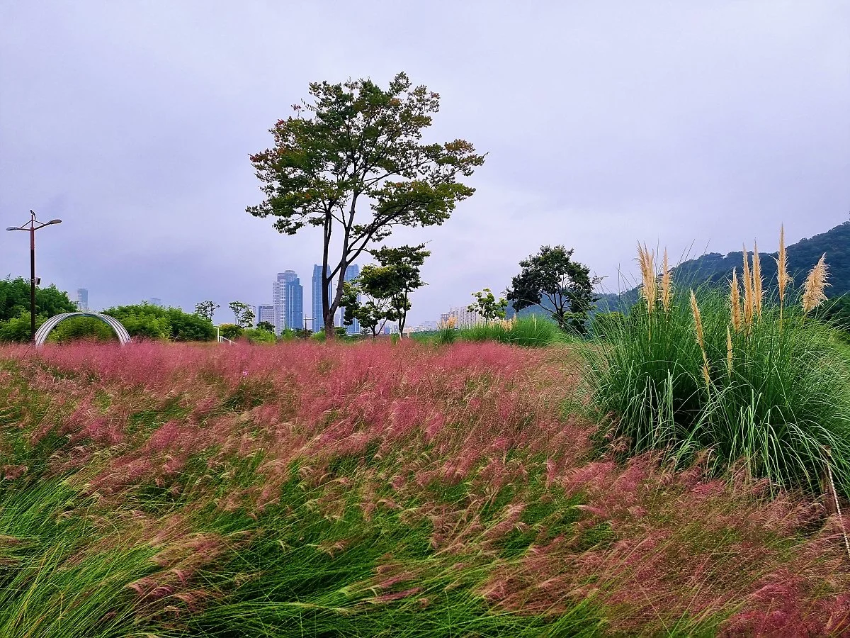 %EA%BD%83%EB%B0%AD_%287%29.jpg?type=w1200