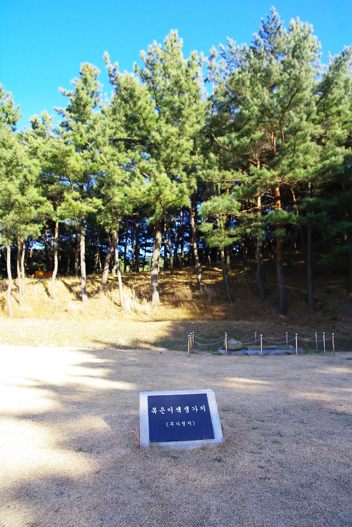 %EB%AA%A9%EC%9D%80_%EC%9D%B4%EC%83%89_%EC%84%A0%EC%83%9D%EC%9D%B4_%ED%83%9C%EC%96%B4%EB%82%9C_%EC%A7%91%ED%84%B0%EB%A5%BC_%EC%95%8C%EB%A6%AC%EB%8A%94_%ED%91%AF%EB%8F%8C.JPG?type=w1200