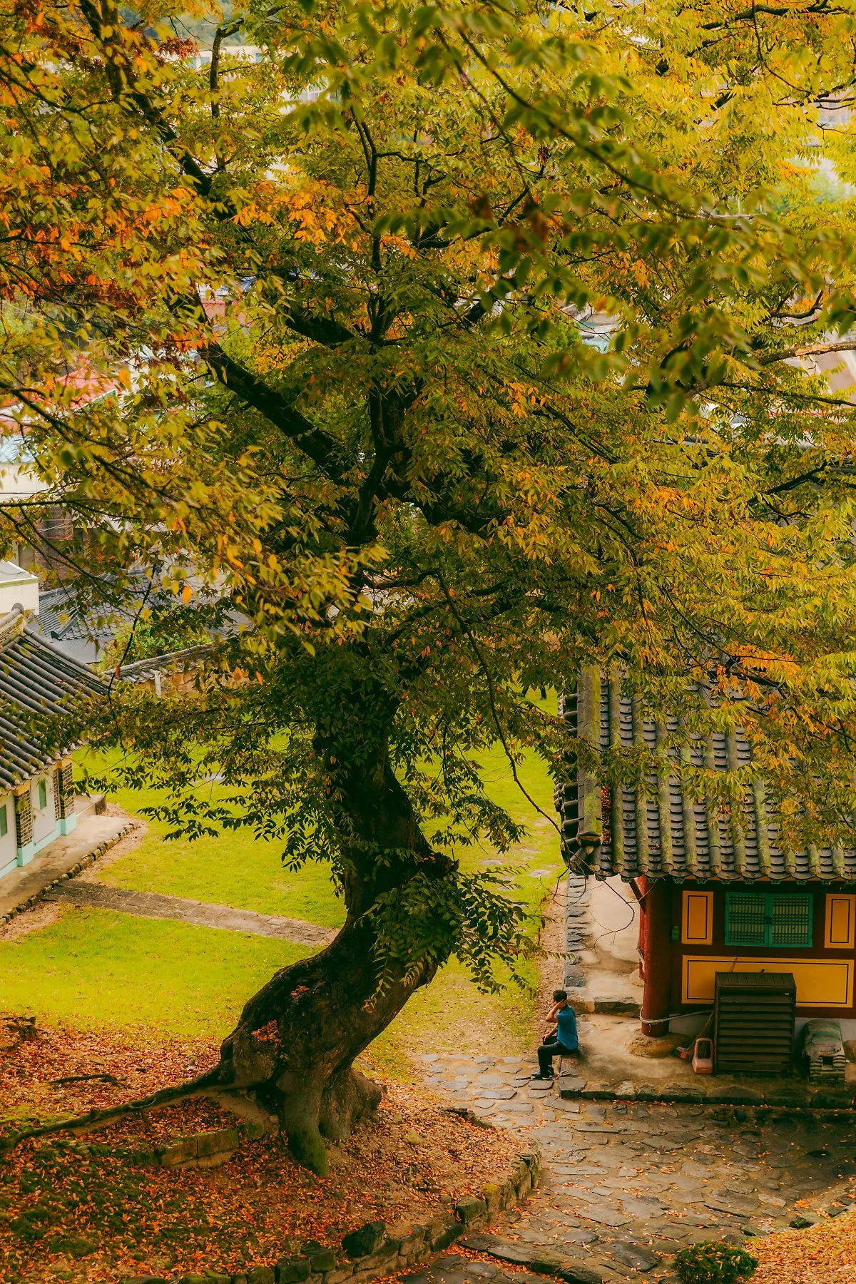 d_%EC%B2%AD%EC%A3%BC%ED%96%A5%EA%B5%90_2.jpg?type=w1200