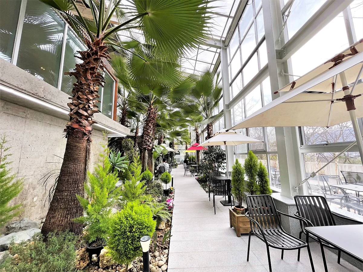 %EC%98%A8%EC%8B%A4%EB%A6%AC%EC%9B%80_%284%29.JPG?type=w1200